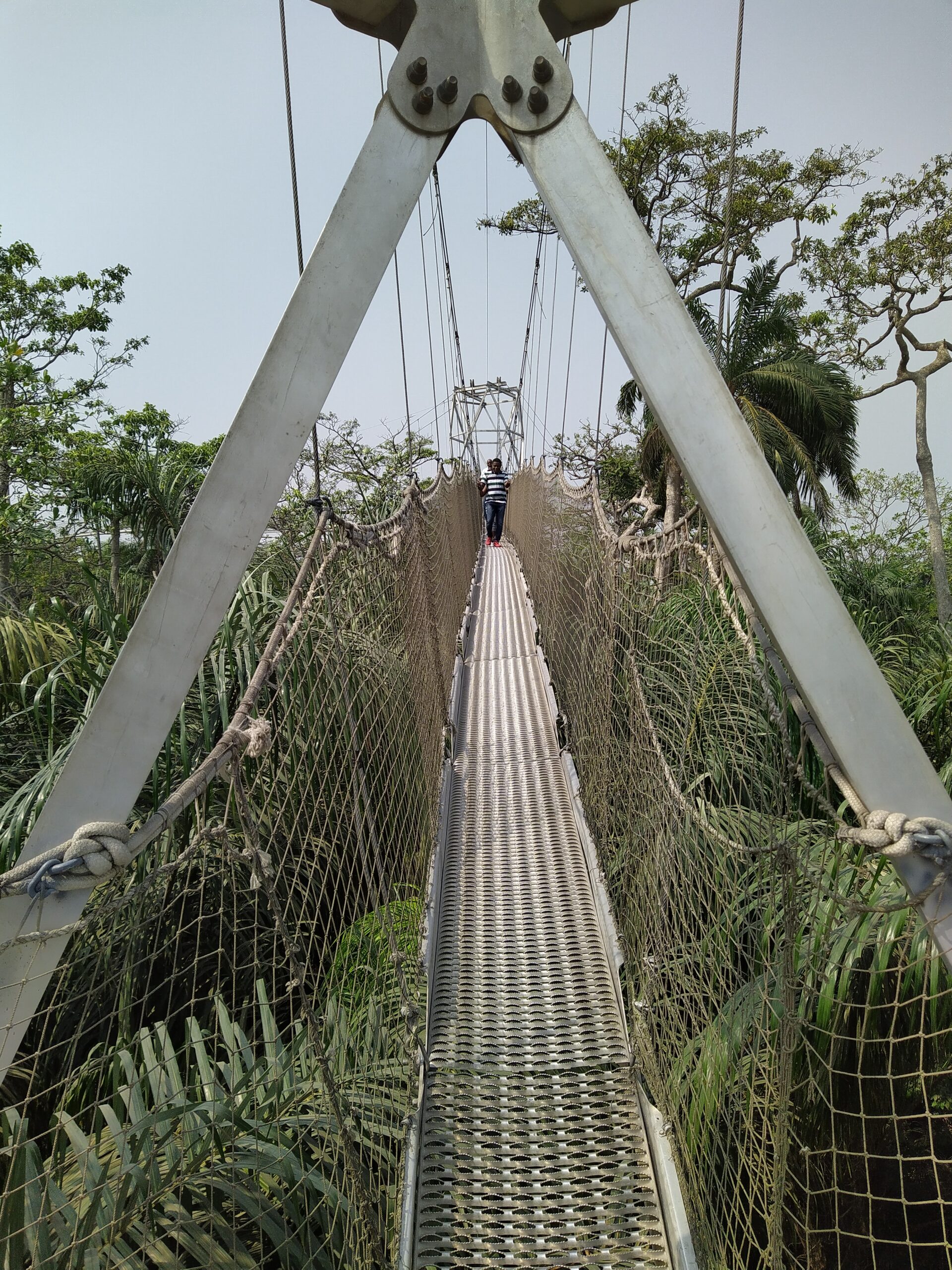 LCC canopy walkway suspension bridge Lekki Conservation Centre Nigeria